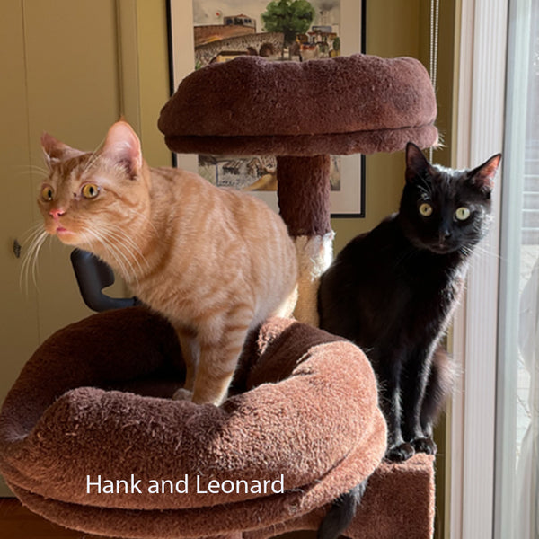 Two Pet Commissions — One 12"x12" Gallery Wrap for Leonard & Hank | One 11"x14" Gallery Wrap for Sugar