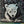 Cute little bear cub under its mama's legs for protection painting.