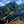 Spectacular Large Original Painting of Mount Yamnuska on 62
