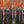 Parade of the Birch Trees